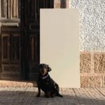 Silestone Faro White cuarzo