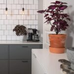 Silestone Snowy Ibiza cuarzo pulido