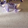 foto de cerca de Silestone Blanco Norte pulido