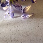 foto de cerca de Silestone Blanco Norte pulido