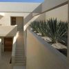 revestimientos de patio arenisca Niwala Yellow