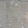 suelos de Caliza Jura Beige