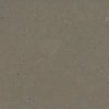 Silestone Brass Relish