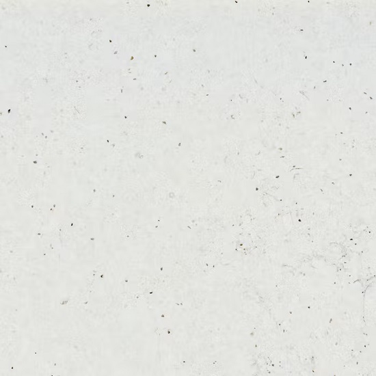 Silestone Lime Delight