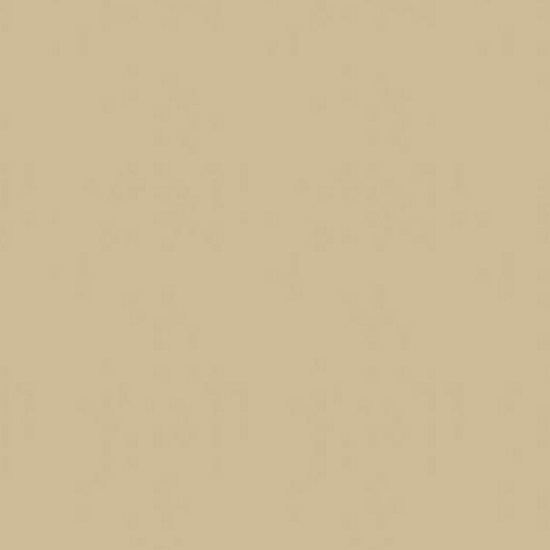 primer plano de Ascale Croma Ivory