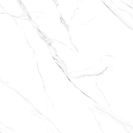 primer plano del Ceratop Borghini