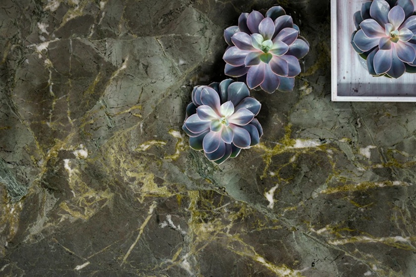 Encimera de granito Naturamia Aridane con tonos verdes profundos y vetas doradas, vista cercana con suculentas decorativas, resistente y natural para reformas premium La Costa del Sol.
