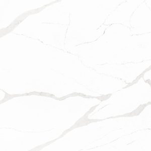 primer plano de Equs Statuario zero