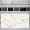 imagen de tabla Xtone Calacatta Gold