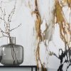 revestimiento pared Xtone Paonazzo Biondo