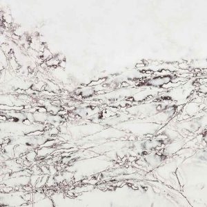 primer plano de Compac Ice Max Viola