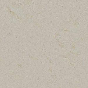primer plano de Equs Dune zero