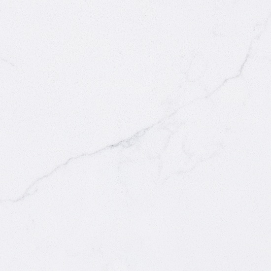 primer plano de Equs Venatino