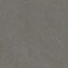primer plano de Xtone Liem Grey