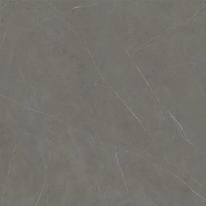 primer plano de Xtone Liem Grey