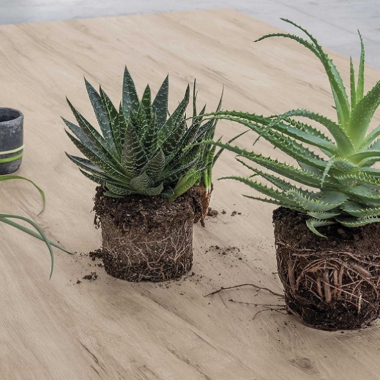 primer plano de encimeraLaminam Legno Venezia Sabbia