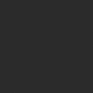 Textura detallada de Blaker Negro Sólido negra uniforme en acabado mate liso.