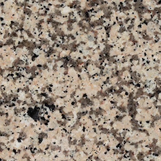 Textura detallada del Granito Crema Camelia, granito crema con motas negras y grises